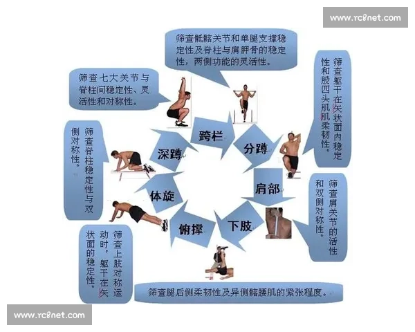 体育康复新理念下运动损伤预防与功能恢复研究 体育康复新理念下运动损伤预防与功能恢复研究