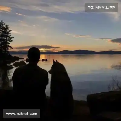 潘淮灏